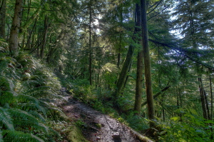 Tillamook Head, Oregon