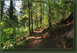 Waldo Canyon