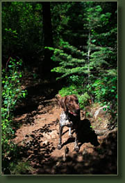 Makenzie in Waldo Canyon