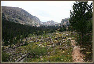 Trail to Bluebird Lake through the Ouzel Burn