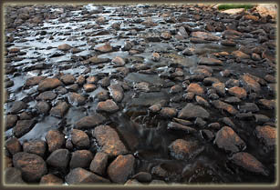 Lark Pond outflow