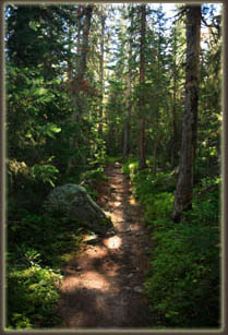 Thunder Lake trail