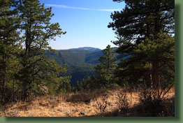 Looking south from the pleasant pine section of the Wintersteen Trail