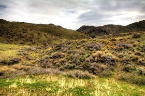 Yaunt Mountain, Wyoming