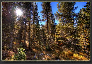 Zimmerman Trail, Colorado