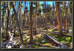 Zimmerman Trail, Colorado