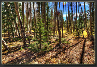 Zimmerman Trail, Colorado